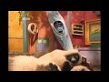 Zoboomafoo On CBeebies UK June 27 2008 MOCK