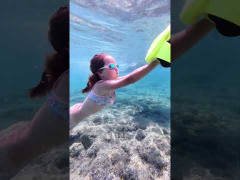 Sea scooter almaya değer mi?