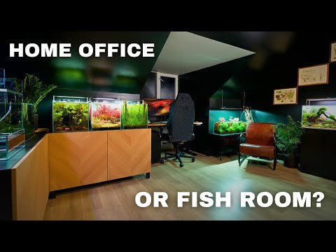 THE NEW MJ AQUASCAPING STUDIO! Home Office /Fish Room Tour