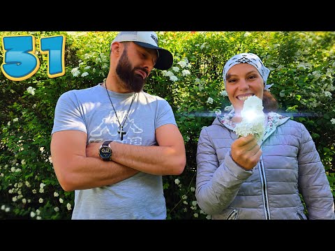 On the hunt for shock 1 - Marioara's story ep 31