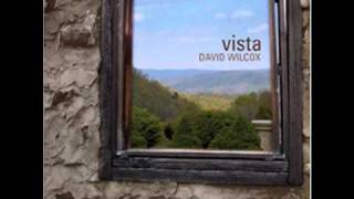 David Wilcox - Vista - No Doubt About It