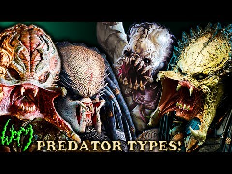 Every Type of PREDATOR - YAUTJA