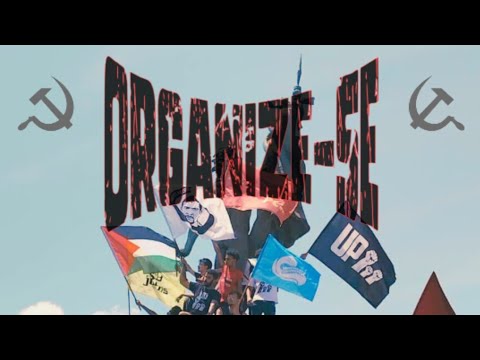 Organize-se 