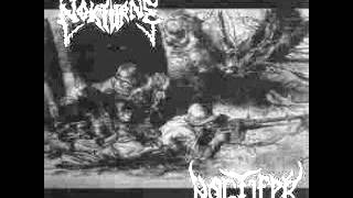 NOCTIFER- "Legio Noctifer"