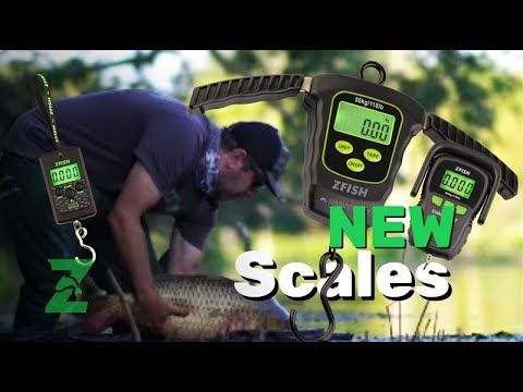 New range of Scales / ZFISH - for a better catch