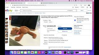 How to find accurately valued beanie babies on ebay
