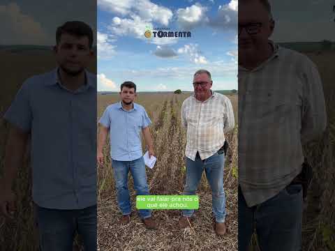 Depoimento do produtor. NEO661 i2X. São Pedro do Turvo, SP.