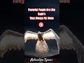 Adopt The Eagle S Attitude Unfounded By Heights Unafraid Of Challenges Motivation Viralvideo