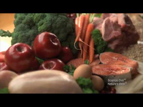 Hill's Pet Nutrition Video Food Quality