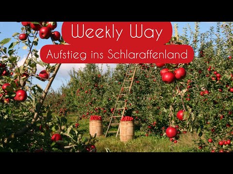 Weekly Way: Wochenorakel 4.1.- 10.1.21