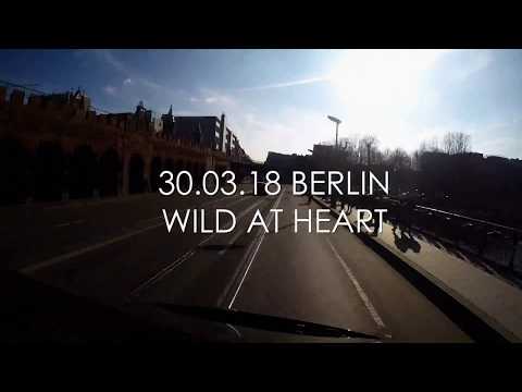 LARRIKINS // Live 2018 - Berlin »Wild at Heart«