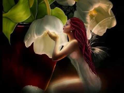 Liebe ist eine Rose