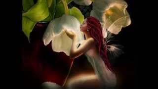 Die Flippers♫ ♫Liebe ist wie eine Rose♫♫