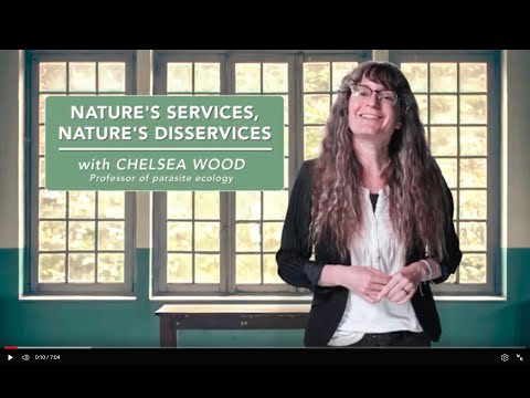 Nature’s services, nature’s disservices