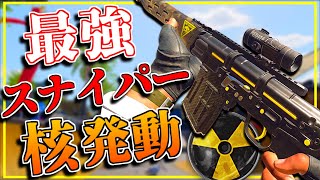 【CoD:BO6】キーマウ最強SR『SVD』で30連続キル2回してきた！【ニューク】