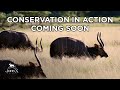 Conservation In Action Nyala Coming Soon