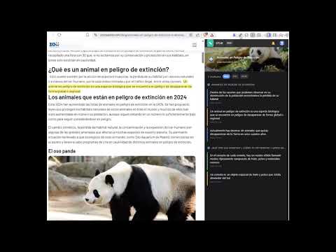 Item video thumbnail