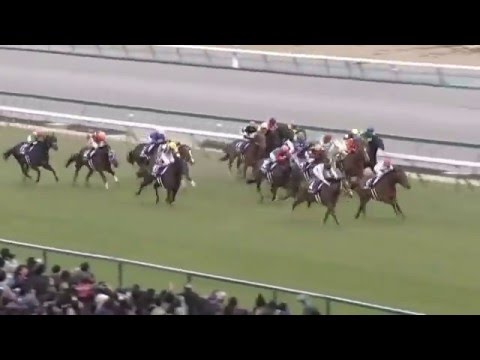 2016.03.27 Takamatsunomiya Kinen (JPN) - Big Arthur