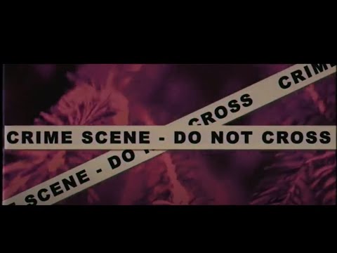 Buggati (feat. Fjiori) - Known Facts (Official Video)