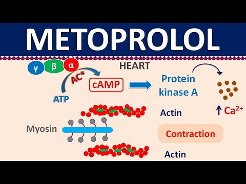 Metoprolol Succinate IP 25 Mg (Prolonged Release) + Amlodipine Besylate IP 2.5 Mg Topme-AM 25/2.5
