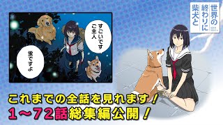 【2月12日プレミア公開】せか柴のこれまでの全話総集編公開!