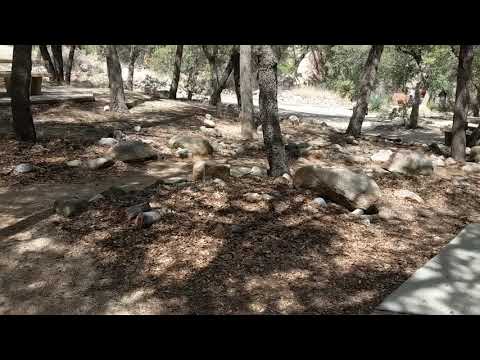 A quick 360 of the campground.