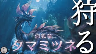 【MHWilds】タマミツネとか追加要素とか全部狩る【005】
