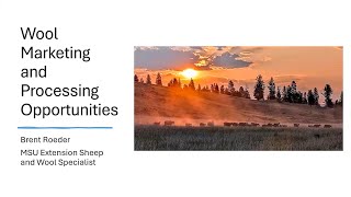 Wool Marketing and Processing Opportunities