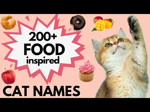 200+ FOOD Inspired CAT Names sure to make you DROOL! 🤤| Boy and Girl Cat Names