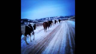 Martha Scanlan- Winter Horses
