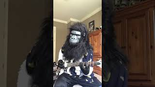 Accept: Head over Heels                         #music #guitar #accept #metal