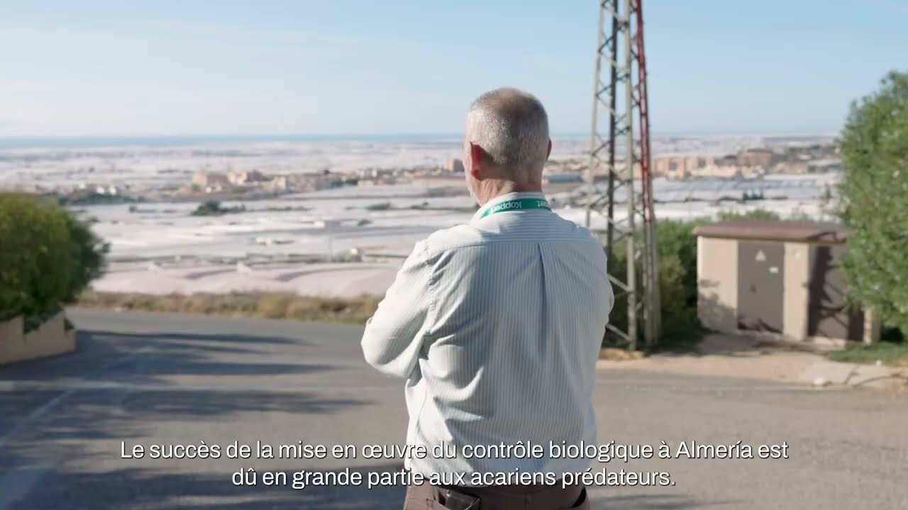 Video preview poster