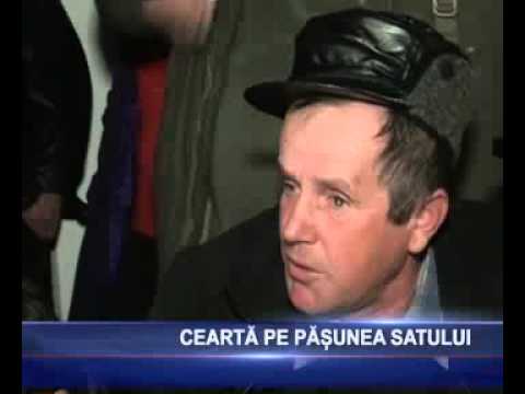 cearta pe pasunea satului