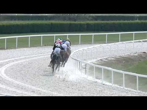 2019.04.07. 01. futam - DÖRY JÓZSEF EMLÉKVERSENY (III.kat.) (szintetikus pálya)