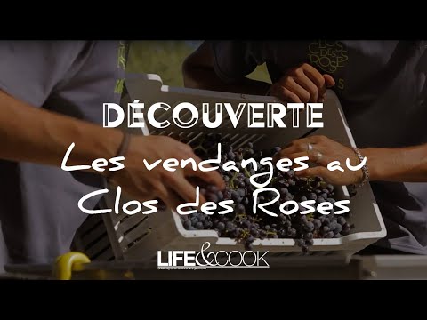 DÉCOUVREZ LE RITE DES VENDANGES EN PROVENCE !