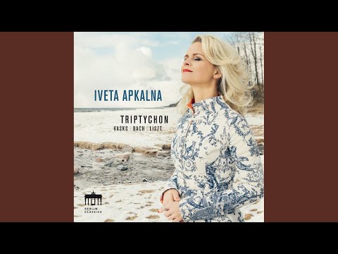 Baltā ainava (White Scenery. Winter)