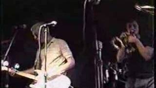 The Hippos Rock &#39;N&#39; Roll Live