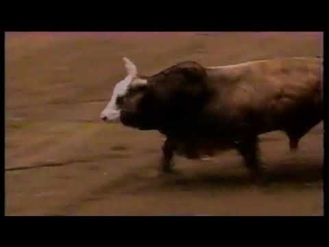 Stingray bucks Aaron Semas - 97 PBR Ft. Worth