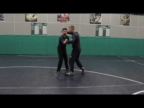 Head and Arm Defense