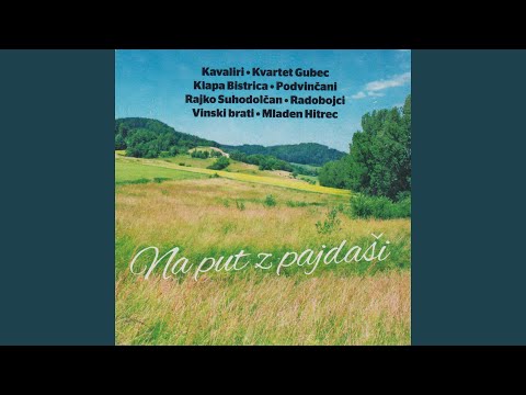 Ne Verškevemu Briegu