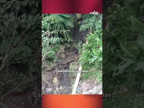 Abandonado: corregimiento de Segovia alza la voz