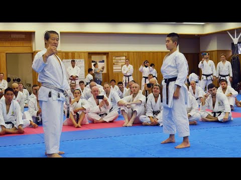 CHINTE KATA - SHOTOKAN - Limerick Shojinkai