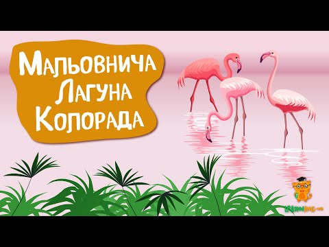 Дива природи. Явища навколо нас. Лагуна Колорада