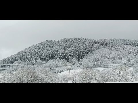 Beautiful Romania - Winter road from Leordina to Viseu de Jos