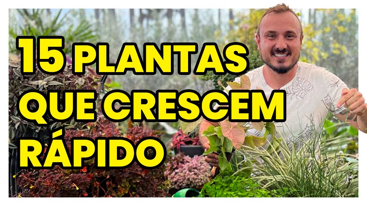 15 PLANTAS que crescem RÁPIDO