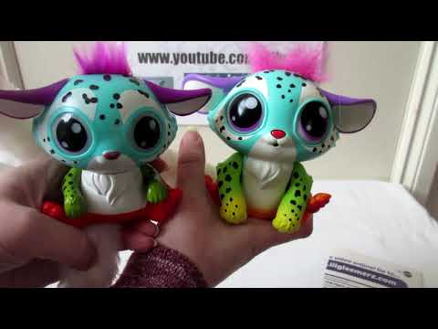 Buyer Beware of Bootlegs