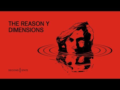 The Reason Y - Dimensions