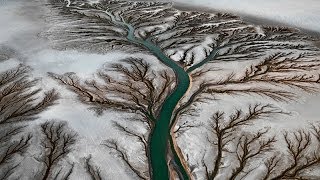 Watermark - San Francisco Green Film Festival