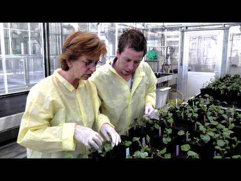 Wageningse bodemexpertise uitgelicht