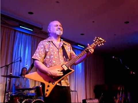 Tinsley Ellis - If the River Keeps Rising & Rockslide